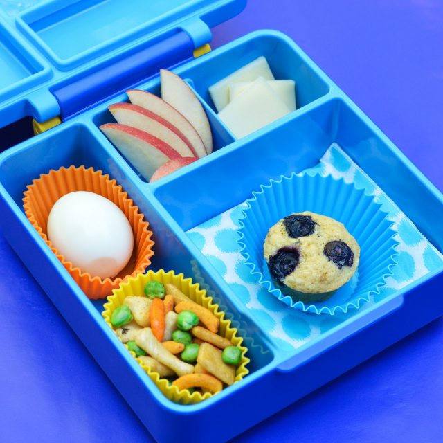Vegetarian Meatball Bento Box - Aurora Satler