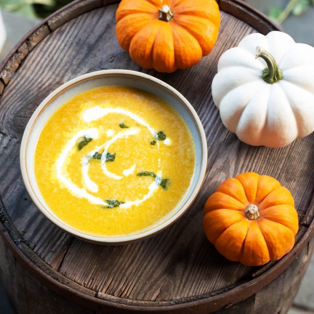 Pumpkin Smoothie - Aurora Satler